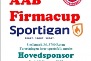 AAB Firmacup 30. juni 2013